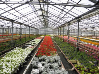 Тепличный комплекс